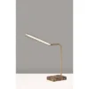 Reader Desk Lamp Antique Brass (Includes LED Light Bulb) - Adesso
