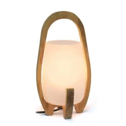 15" Organic Contemporary Natural Wood Accented Table Desk Lamp With Translucent Glass Shade - Lalia Home